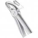 Fig 18A Upper Molars 