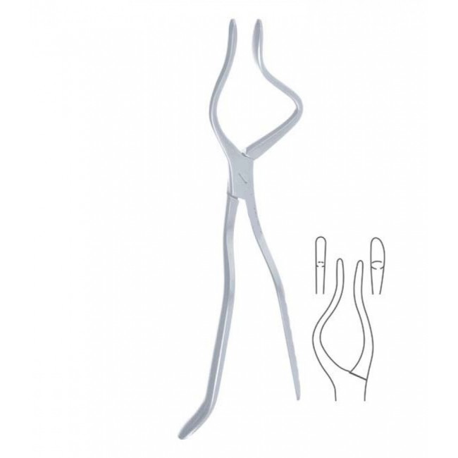 Rowe Maxillary Disimpaction Forceps, 23 cm Length